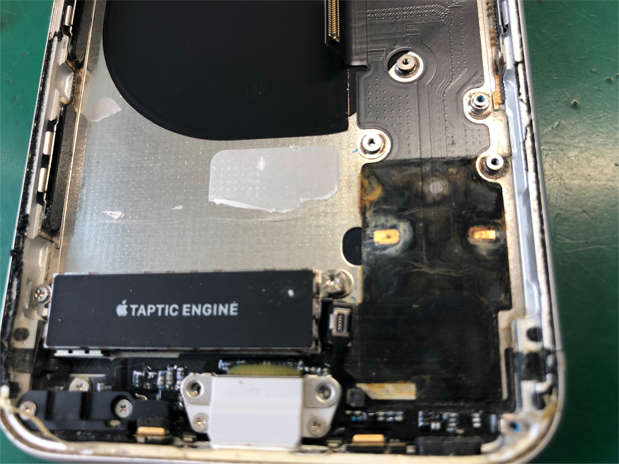 Bottom Main Dock Connect