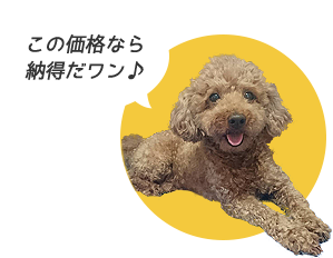 この価格なら納得だワン