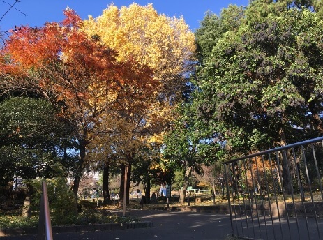 中目黒、池尻大橋、代官山、渋谷などの中心にある菅刈公園