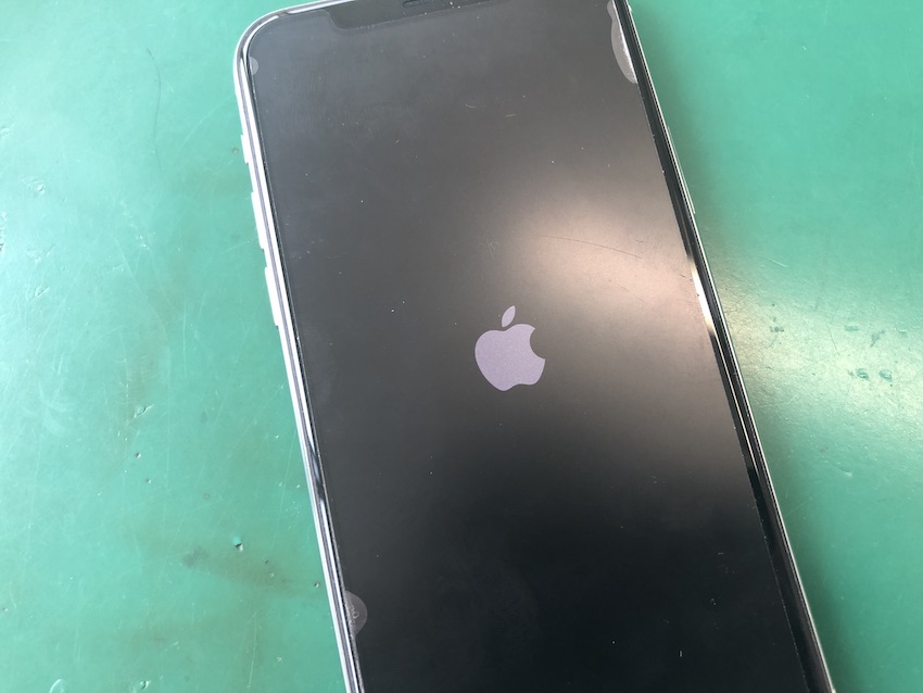 リンゴループになったiPhone11Pro本体